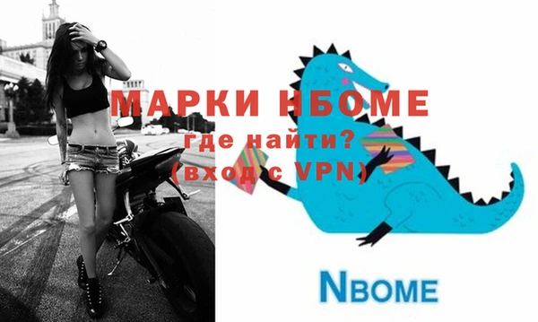 индика Нязепетровск