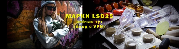 индика Нязепетровск