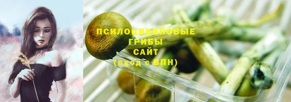 спайс Новозыбков