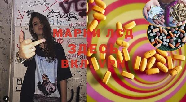 индика Нязепетровск