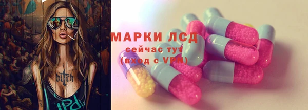 индика Нязепетровск