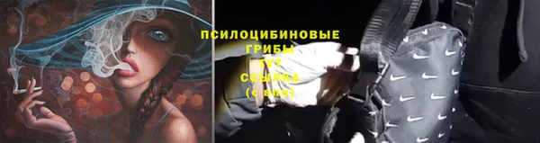 прущие крисы Няндома