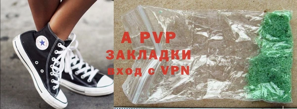 индика Нязепетровск