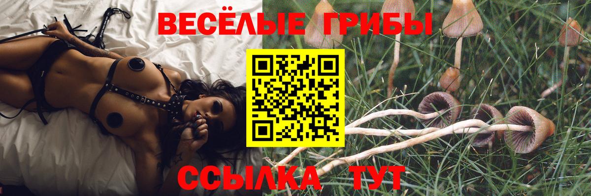 Лабинск  наркотики  Вход с VPN  Галлюциногенные грибы прущие грибы  Галлюциногенные грибы мицелий 